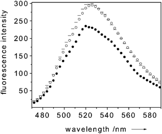 Room temperature emission spectrum of CcP paired with fluorescein (exc 450 nm) ( trace), upon addition (● trace) and removal (○ trace) of NO. Protein concentration: 5 µM in 100 mM potassium phosphate buffer (pH = 6.8). In this particular experiment the molar ratio NO to CcP was about 40 to 1.