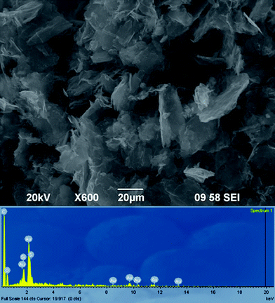 
          SEM and EDS analysis of graphene–Au hybrids prepared by in situ method.