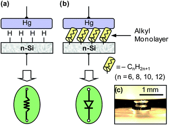 Schematic illustration of mercury|silicon junctions and their electrical characteristics. (a) A direct Hg|H–Si (n-type) junction exhibits ohmic contact characteristics at room temperature due to a lower Schottky barrier (0.43 eV), represented as a resistor. (b) An alkyl monolayer junction, Hg|CnH2n+1–Si (n = 6, 8, 10, 12), shows rectifying behavior, represented as a diode. (c) An optical photograph shows the mercury drop (and its mirror image) in contact with the silicon surface. Y. J. Liu and H. Z. Yu, Alkyl monolayer-passivated metal-semiconductor diodes: molecular tunability and electron transport, ChemPhysChem, 2002, 3, 799–802. Copyright Wiley-VCH Verlag GmbH & Co. KGaA. Reproduced with permission.