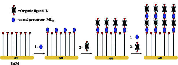 A schematic diagram for the step-by-step growth of metal–organic frameworks on self-assembled monolayers by repeated growth cycles separated by washing: first immersion in a solution of metal precursor and subsequently in a solution of the organic ligand. Here, for simplicity, the scheme simplifies the assumed structural complexity of the carboxylic acid coordination modes. Reprinted with permission from ref. 67. Copyright 2007 American Chemical Society.