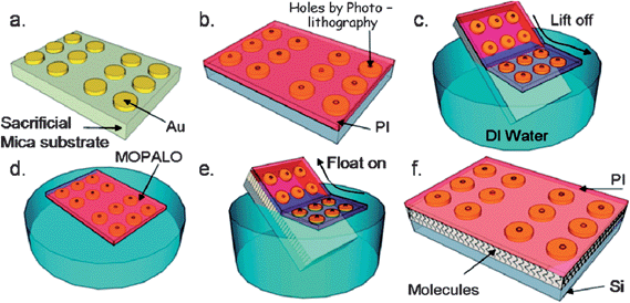 An illustrated modified polymer-assisted lift-off (MoPALO) process: (a) Au evaporation onto a sacrificial mica substrate; (b) spin-coated polyimide (PI), followed by photolithography to access Au through PI; (c) PI/Au film is removed from mica into a deionized (DI) water (“lift-off”); (d) floating PI/Au film in DI water; (e) PI/Au film is picked up (“float-on”) by the target substrate; and (f) Au|monolayer|Si junctions are created. Reprinted with permission from ref. 75. Copyright 2010 American Chemical Society.