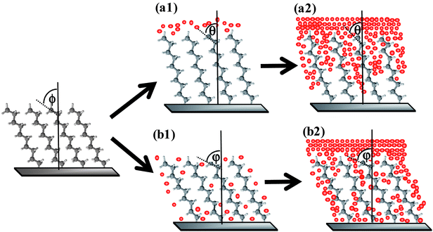 Hypothetical view of monolayer–metal interactions during gold deposition via (a) thermal evaporation and (b) physical vapour deposition. Φ, θ and φ are titled angles before and after metal deposition. Reprinted with permission from ref. 45. Copyright 2009 American Chemical Society.