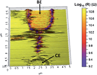 3D topography AFM image and the corresponding resistance map of a TTF–Au wire. Arrows mark the bias electrode (BE) and the counter electrode (CE).