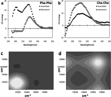 Far-UV circular dichroism spectra of (a) Phe–Phe and (b) Cha–Cha in assembled and monomeric forms. 2D-COS-FTIR spectra of amide I band of (c) Phe–Phe and (d) Cha–Cha assemblies indicating backbone conformation.