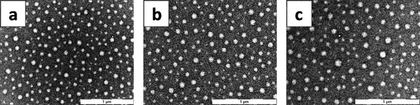 
          Electron micrographs of (a) Val–Val, (b) Leu–Leu and (c) Ile–Ile dipeptide.