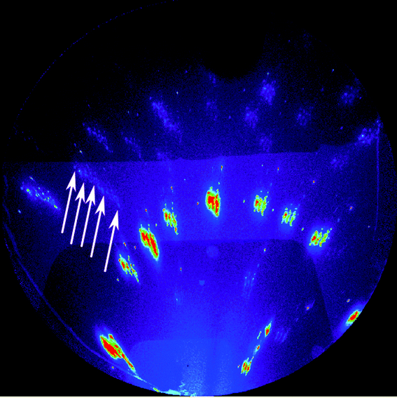 Diffraction pattern of the polycrystalline matrix nanoparticles at the tip of the sea urchin tooth. Instead of single-spot reflections we observe clusters of faint spots. The arrows indicate a few of these spots in one cluster. The subdivision of each calcite reflection into weak small spots indicates that individual diffracting grains are smaller than the illuminating X-ray beam spot size. Based on the size of the X-ray beam (1 μm2), we estimate that the grain size is on the order of 10 nm. The close proximity of the spots in each cluster shows that these nanoparticles are highly co-oriented. The width in 2θ of the spread gives the orientation spread of the nanoparticles, which is 1° in full width at half maximum, and 4° in maximum spread.