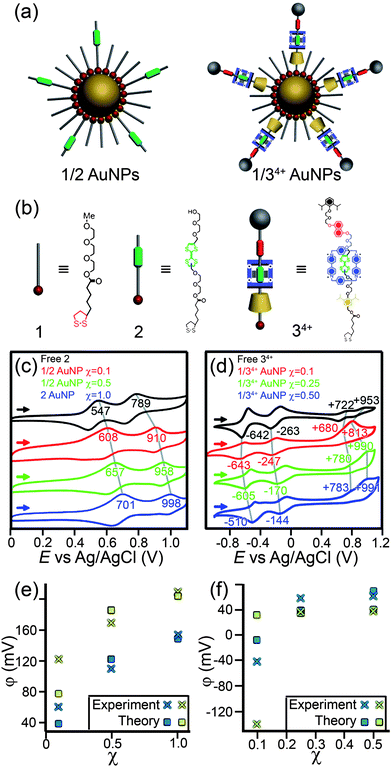 
              (a) Scheme of AuNPs functionalized with electron-rich TTF stalks (left) and bistable [2]rotaxanes (right). (b) Structural formulae of the ligands. (c,d)Cyclic voltammograms of ligands (c)2 and (d)34+ present free in solution and adsorbed on Au NPs at various surface concentrations, χ. (e,f) Experimental (×) and calculated (□) shifts in the redox potential, φ, of TTF in (e)1/2-Au NPs and (f)1/34+-Au NPs as a function of the surface coverage, χ. Blue and yellow traces correspond to the first and second oxidation potentials of TTF, respectively. Adapted with permission from ref. 168. Copyright 2010 American Chemical Society.