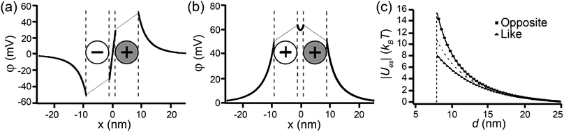 (a,b) Electrostatic potential along the axis, x, connecting two (a) oppositely charged and (b) like charged NPs. Note that the potential is smaller between oppositely charged NPs, resulting in desorption of counterions and enhanced electrostatic attraction. The potential is larger between like-charged NPs, causing further adsorption of counterions and reduced electrostatic repulsion. (c) Magnitude of the electrostatic interaction energy, |ues|, between two oppositely charged and two like-charged NPs as a function of the distance between their centers, d. The dashed line is the approximate form ues(d) = 4πε0εφ2sR2exp[−κ(d − 2R1)]/d. Reprinted with permission from ref. 190. Copyright Wiley-VCH Verlag GmbH & Co. KGaA, 2007.