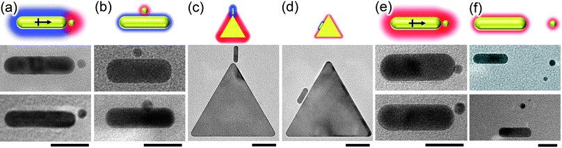 Site-selective electrostatic self-assembly of oppositely- and like-charged particles. Schemes and representative TEM images of (a, b) Oppositely charged nanoparticle/nanorod (NP/NR) systems. The “tip” arrangements shown in (a) is observed for large-screening length where charge-induced dipole interactions are appreciable (here, for TMA NPs/MUA NRs pair with κ−1≈ 10 nm). The “side” arrangement in (b) is observed for small screening lengths (TMA NPs/MUA NRs, κ−1≈ 0.6 nm). (c, d) Similar trends hold for nanotriangle/nanorod (NT/NR) systems (here TMA NTs/MUA NRs) with both (c) large and (d) small screening lengths. (e, f) Like-charged NP/NR systems. (e) for large screening lengths (here, TMA NPs/TMA NRs, cS ≈ 1 mM, κ−1≈ 10 nm) where charge-induced dipole attraction overcomes electrostatic repulsion, the particles aggregate in a “tip” arrangement; (f) when screening length is small (TMA NPs/TMA NRs, cS ≈ 250 mM, κ−1≈ 0.6 nm) and induced dipoles are negligible, repulsive electrostatic interactions dominate and the particles repel one another. In the schemes, the screening length is proportional to the thickness of the halos around the particles; red and blue colors indicate, respectively, positive and negative particle polarity. Scale bars for NR/NP and NT/NR systems are 20 nm and 50 nm, respectively. Reprinted with permission from ref. 99. Copyright 2010 American Chemical Society.