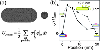 
              (a) Finite Element Method (FEM) can be used to solve for the potential around more complex geometries by representing these objects as a 3-dimensional mesh. After solving the PB equation with the appropriate boundary conditions (see Section 2.3) the surface potential can be numerically integrated over the surface and the energy of the system/configuration can be found. (b) Energy diagrams can be obtained from FEM calculations for various particle orientations and experimental conditions. Here, we show the normalized energy as a NP moves along the contour of a NR at either large or small screening lengths. As observed in the corresponding experiments (see Fig. 14), the FEM method predicts that a ‘tip’ assembly is preferred when the electrostatic interactions are unscreened, but the ‘side’ assembly becomes most favorable when the screening lengths are short. Reprinted with permission from ref. 99. Copyright 2010 American Chemical Society.