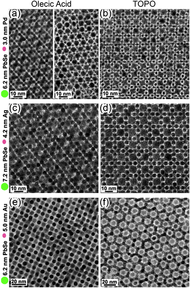 
              TEM images of BNSLs assembled in the presence of OA (left column) and TOPO (right column). (a) 6.2 nm PbSe and 3.0 nm Pd nanoparticles self-assembled into orthorhombic AB- and AlB2-type BNSLs in the presence of OA. (b) Same nanoparticles form NaZn13-type BNSL in the presence of TOPO(c, d) 7.2 nm PbSe and 4.2 nm Ag nanoparticles self-assembled into orthorhombic AB and cuboctahedral AB13 BNSLs, respectively. (e, f) 6.2 nm PbSe and 5.0 nm Au nanoparticles self-assembled into CuAu-type and CaCu5-type BNSLs, respectively. Reprinted by permission from Macmillian Publishers Ltd: Nature, 2006.32