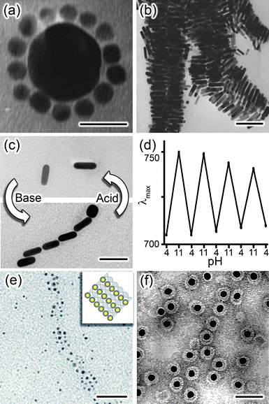 Electrostatics at the nanoscale - Nanoscale (RSC Publishing) DOI 