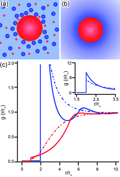 Schematic representations of a positively charged NP (red) surrounded by charged counter/coions (blue/red) from two different theoretical perspectives. (a) The primitive model, PM, and mean spherical approximation, MSA, treat the NP and surrounding ions as hard spheres with the solvent as a continuum. (b) The PB models simplify the theoretical description by treating both solvent and ions as continuous distributions. (c) The radial distribution functions, g, of anions (blue, of radius r− = 0.425 nm) and cations (red, of radius r+ = 0.2125 nm) around a positive NP (rNP = 1.5 nm, q = 36) as functions of the distance from the particle surface normalized with respect to the cation radius, r/r+. The MSA/HNC model (solid lines, corresponds to diagram in (a)) shows an “oscillatory” behavior while the non-linear PB model with size-asymmetric ions (dashed lines, corresponds to diagram in (b)) predicts a monotonic behavior. Inset shows region not in view of the main graph.