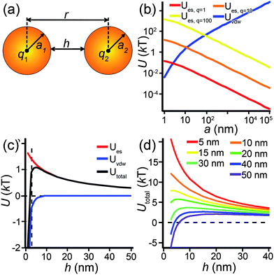 
            (a) Scheme of interacting NPs of radius ai and charge qi, whose surfaces are separated by distance h. (b) Plots of the magnitudes of electrostatic, Ues, and van der Waals, Uvdw, energies for NPs of charge q = 1e, 10e, and 100e as a function of NP radius, a, at a fixed separation of h = 2.8 nm (twice the thickness of a C12 SAM). (c) Electrostatic, van der Waals, and total energy profiles as a function of separation between two 10 nm NPs of charge q = 5e. Electrostatic forces are long-ranged compared to the van der Waals interactions that dominate at smaller separations (the separation distance due to the thickness of the SAMs is indicated by the vertical dashed line). The net energy barrier at a finite separation prevents particle aggregation. (d)Utotal profiles for NPs of various radii. All electrostatic interactions shown here are for the case of unscreened NPs ([Ions] = 0, κ−1 = ∞) of charge q = 15e. In all plots, the van der Waals interactions are calculated for Au NPs with water as the solvent (Hamaker constant, A = 9 × 10−20J).