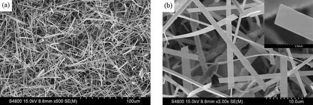 (a) SEM image revealing the high density of Ga2O3 nanobelts. (b) High-magnification SEM image showing the smooth surface and uniform thickness of each nanobelt.