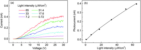 (a) I–V curves of a Ga2O3 individual-nanobelt photodetector under irradiation with 250 nm light at different intensities. (b) Photocurrent as a function of light intensity and corresponding fitting curve using the power law.