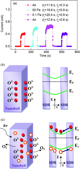 (a) The response of a photocurrent under air and different vacuum environments. (b) Demonstration of oxygen adsorption near the surface of Ga2O3 nanobelts, capturing free electrons in n-type semiconductors. The schematic on the right-hand side is the energy band diagram, revealing the surface band bending and surface depletion area (SDR). (c) Under light irradiation, photogenerated holes migrate to the surface to neutralize electron-capturing oxygen and the remaining electrons migrate to the neutral region. Ev, Ec, and EF denote valence band, conduction band, and Fermi energies, respectively, and red solid and orange hollow circles represent electrons and holes, respectively.