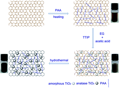 Procedure for synthesis of GO-amorphous TiO2 and RGO-anatase TiO2 nanocomposite.