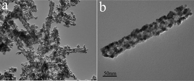
          TEM images of pure SnO2 nanotubes.