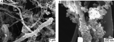 (a) and (b) SEM images of [Cu2O/MWCNT] at two different magnifications.
