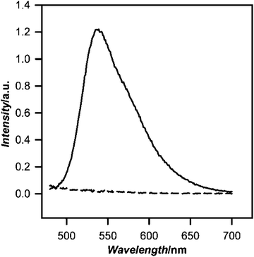 
            Fluorescence emission spectrum of biotinylated PEG lipid PFBT nanoparticle pull down with streptavidin magnetic beads. Streptavidin coated magnetic beads were incubated with biotinylated 2000 MrPEG lipid PFBT nanoparticles, washed to remove unbound CPNs, and then incubated with free biotin to release bound nanoparticles. Magnetic beads were removed with a strong magnet, and the fluorescence of the supernatant was recorded (solid line; λex = 460 nm). Control experiments using carboxy 2000 Mr PEG lipid-PFBT nanoparticles do not bind streptavidin magnetic beads, as shown by the emission spectrum of the control supernatant (dashed line).