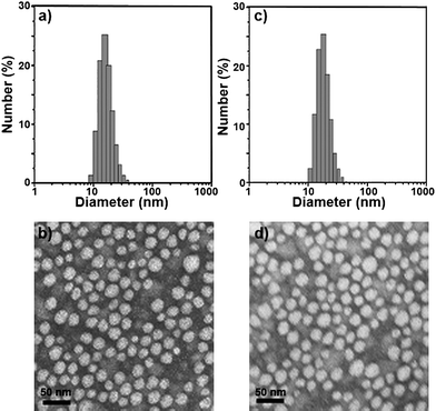 Particle size distribution and morphology of Cur/MPEG-PCL micelles. (a) and (b) are the particle size distribution spectrum and TEM image of freshly prepared Cur/MPEG-PCL micelles, respectively; (c) and (d) are the particle size distribution spectrum and TEM image of re-dissolved Cur/MPEG-PCL micelles after freeze-drying, respectively.