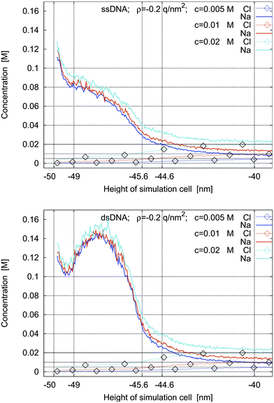 Concentrations profiles for ssdna (top) and dsdna (bottom) for a surface charge density of ρ = −0.2 q nm−2 and for bulk electrolyte concentrations of 0.005 M, 0.01 M, and 0.02 M.