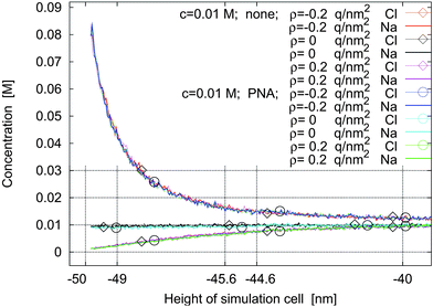 Concentration profiles for no molecules and for pna and for surface charge densities of ρ = −0.2 q nm−2, ρ = 0, and ρ = +0.2 q nm−2 with no applied potential.