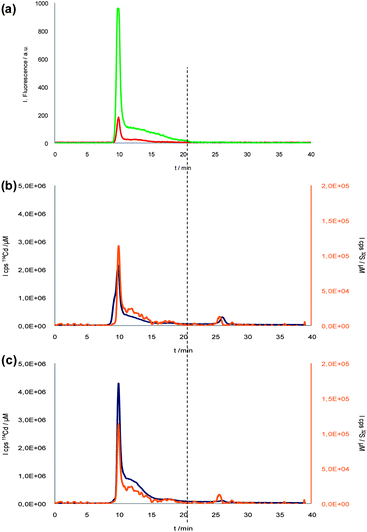 SEC-Fluorescence (a) and SEC-ICP-MS (b) chromatograms of Ab-QDs bioconjugation reaction mixture. CdSe/ZnS SEC-ICP-MS chromatogram (c). Red and green lines represent 600 nm core fluorescent emission from bioconjugated QDs and 332 nm polymer and Ab fluorescent emission, respectively. Blue and orange lines correspond to 114Cd and 32S from QDs and bioconjugate, respectively. Vertical line would show the elution time of the antibody.