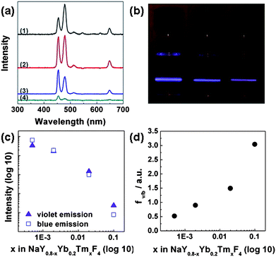 (a) Upconversion emission spectra of NaY0.8−xYb0.2TmxF4 NCs with different Tm3+ concentrations, x = 0.0005, 0.002, 0.02, 0.1, for (1), (2), (3), (4) respectively. (b) Digital camera pictures ofNaY0.7995Yb0.2Tm0.0005F4, NaY0.798Yb0.2Tm0.002F4 and NaY0.78Yb0.2Tm0.02F4 (from left to right) samples under 980 nm excitation. (c) Upconversion emission intensity (normalized by Tm3+ ion concentration) versus doping concentration of Tm3+ in NaY0.8−xYb0.2TmxF4 NCs. (d) Diagram of violet to blue emission (fv/b) ratio versusTm3+ doping concentration in NaY0.8−xYb0.2TmxF4 NCs.