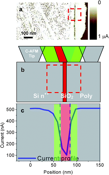 (a) C-AFM on the test sample (Si/SiO2/polySi) cross-section. Three different tip–sample configurations (b) and the current profile (c) across the sample.