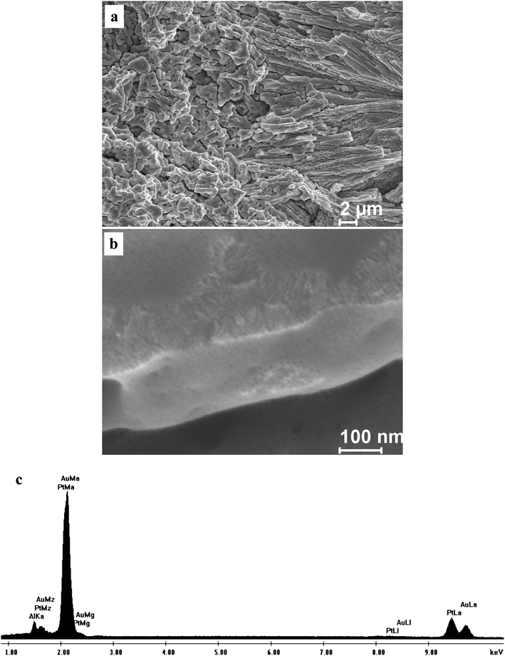 (a,b) SEM images showing the section-view microstructure of the np-Pt60Au40 NCs fabricated by dealloying the rapidly solidified Al75Pt15Au10 precursor in the 20 wt.% NaOH solution, and (c) a typical EDX spectrum.