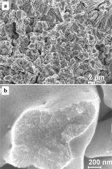 
          SEM images showing the microstructure of the np-Pt60Au40 NCs fabricated by dealloying the rapidly solidified Al75Pt15Au10 precursor in the 5 wt.% HCl solution.