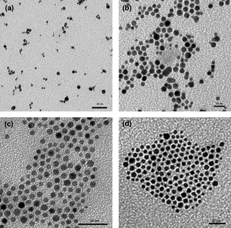 
            TEM micrographs of Au NPs prepared from four different molecular weights (Mn) of monodentate ligands DDT–PVAc: (a) 51 600 g mol−1, (b) 23 150 g mol−1, (c) 19 550 g mol−1, and (d) 16 910 g mol−1.