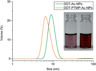 
            DLS
            spectra of Au NPs stabilized with monodentate ligands DDT–PVAc in toluene (orange) and after the ligand exchange by DDT (green). Inset: photograph of Au NPs stabilized with DDT (left) and DDT–PVAc (right).