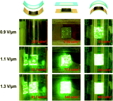 Photographs and corresponding luminance values of carbon hybrid field emission with concave, flat, and convex morphologies. (Adapted from ref. 12 with permission.)