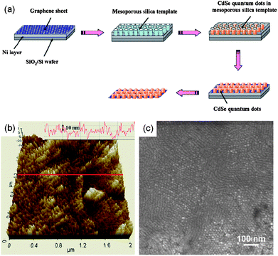 (a) Schematic procedure to synthesize a CdSe quantum dot array on the basal plane of a graphene sheet using a mesoporous silica thin film as a template. (b) AFM and (c) SEM images of a CdSe quantum dot array grown on a graphene sheet. (Adapted from ref. 79 with permission.)