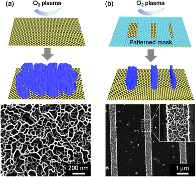 Schematic illustrations and corresponding SEM images of (a) ZnO nanowalls grown on oxygen-plasma-treated graphene layers and (b) selectively-grown ZnO nanowalls on graphene layers.