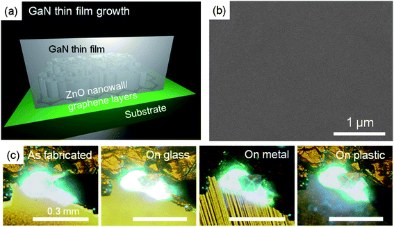 (a) Schematic illustration and (b) a SEM image of epitaxial GaN thin films on ZnO-coated graphene layers. (c) Optical images of light emissions from the as-fabricated LED on the original substrate and transferred LEDs on the foreign metal, glass, and plastic substrates.