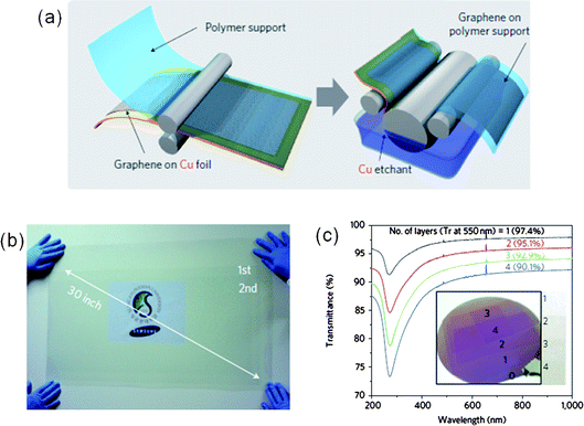 (a) Schematic of the roll-to-roll process of graphene films grown on a copper foil. (b) Ultra large-area graphene film transferred onto a 35-inch polyethylene-terephthalate (PET) substrate. (c) Transmittance spectra of layer-by-layer transferred CVD-graphene films as a function of the number of graphene layers. Inset: optical image of graphene. (Adapted from ref. 16 with permission.)