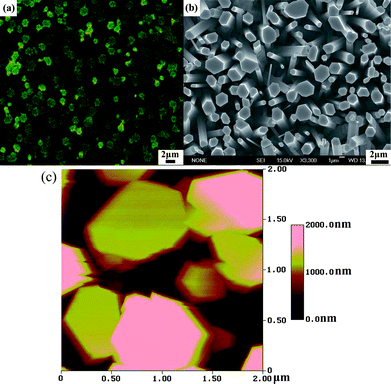 (a) Spatially resolved PL intensity microscopic image, (b) top view SEM image and (c) AFM image corresponding to the arrays of ZnO NWs in sample D.