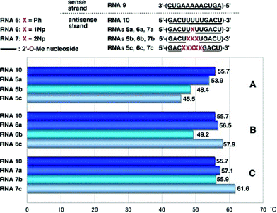 
            T
            m values of duplexes of 2′-O-methylated RNA9 with RNA10, RNAs5a–c, RNAs6a–c and RNAs7a–c.