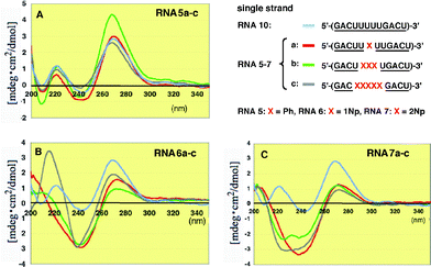 CD spectra of single stranded 2′-O-methylated RNAs5a–c, 6a–c and 7a–c incorporating Ph, 1Np and 2Np, respectively, where 2′-O-methyluridines were replaced by 2′-O-aryluridines (X).