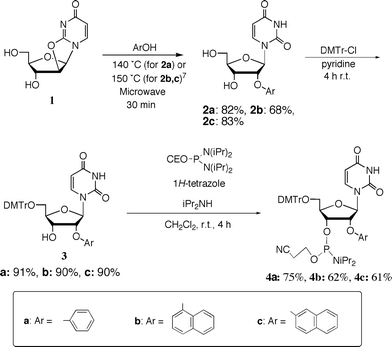 Synthesis of 2′-O-aryluridine 3′-phosphoramidite derivatives 4a–c.
