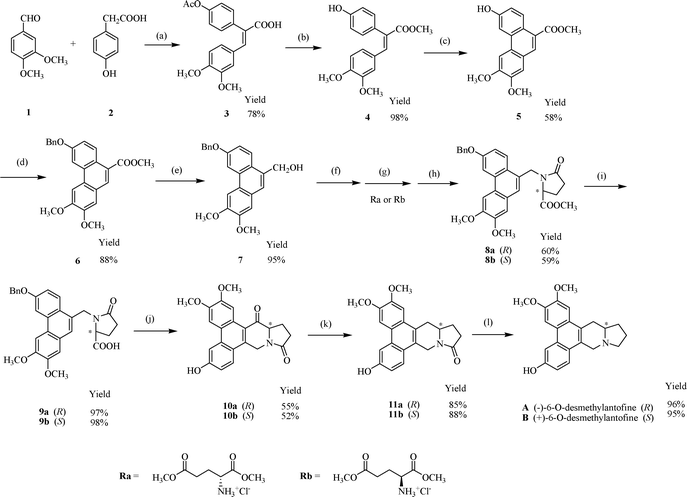 Synthesis of (−)-6-O-desmethylantofine (A) and (+)-6-O-desmethylantofine (B). Reagents and conditions: (a) Ac2O/Et3N; (b) CH3OH/concd. H2SO4; (c) FeCl3/CH2Cl2; (d) BnBr/K2CO3/CH3COCH3; (e) LiAlH4/THF; (f) PBr3/CH2Cl2; (g) Ra or Rb/K2CO3/DMF; (h) AcOH/MeOH; (i) KOH/MeOH/dioxane; (j) (COCl)2/CH2Cl2, SnCl4/CH2Cl2 (k) NaBH4/EtOH, Et3SiH/CF3COOH/CH2Cl2 (l) LiAlH4/THF.