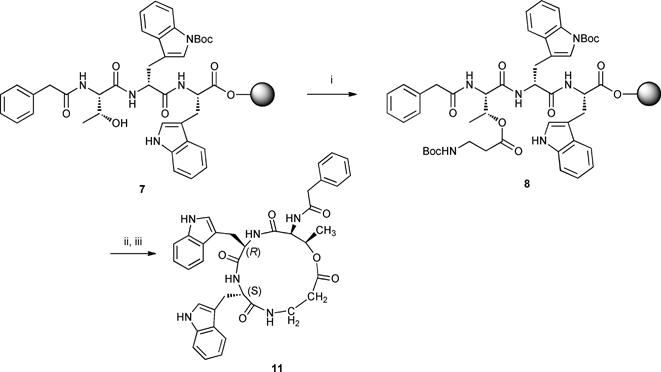Synthesis of PA-l-[Thr-d-Trp-l-Trp-β-Ala] 11. Reagents, conditions and yields: i) Boc-β-Ala-OH (20 equiv.), BzCl (20 equiv.), Et3N (40 equiv.), CH2Cl2, rt, 18 h; ii) TFA : H2O :TIPS (95 : 2.5 : 2.5), 1 h; iii) BOPCl, DMAP, CH2Cl2–MeOH, 0 °C to rt, 19 h, 8% from compound 5.