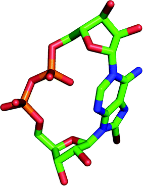 Model of 8-Br cADPR (2) with its “southern” ribose in the C2′ endo/syn conformation. Hydrogen atoms are not shown for clarity.