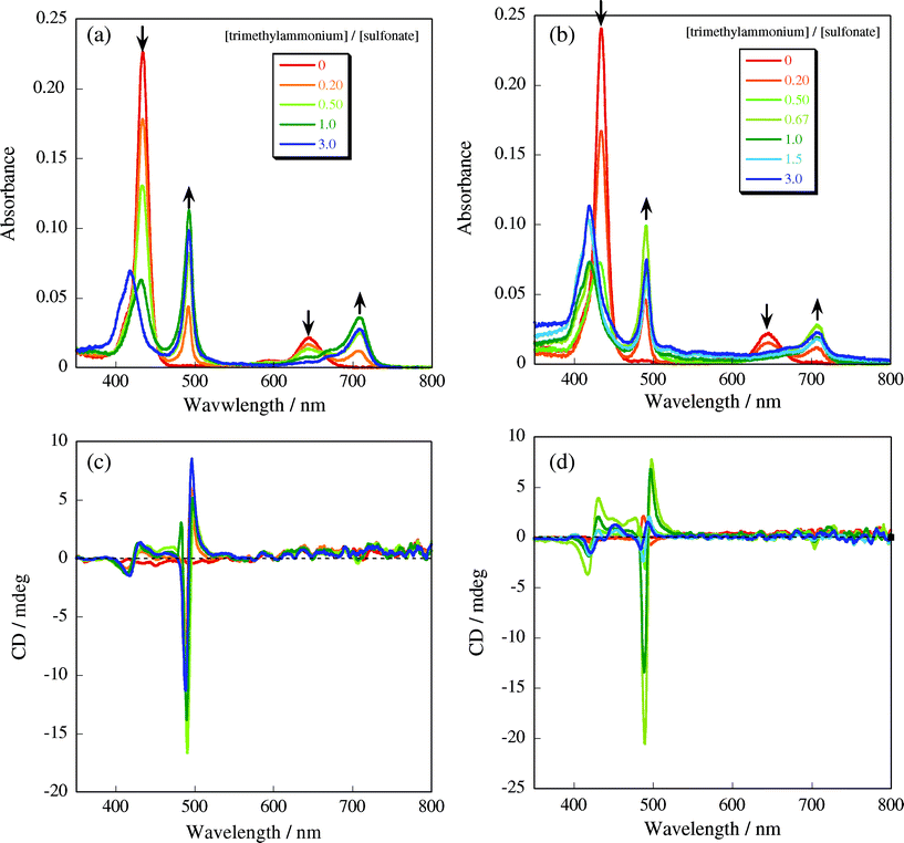 
          UV-vis and CD spectral changes of H4TPPS2− upon addition of only CUR-N+ (a) and (c), and CUR-N+/SWNT complex (b) and (d), respectively: 25 °C, 1.0 cm cell.
