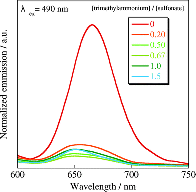 Fluorescence spectral change of H4TPPS2− upon addition of CUR-N+/SWNT: 25 °C, 1.0 cm cell, excitation at 490 nm.