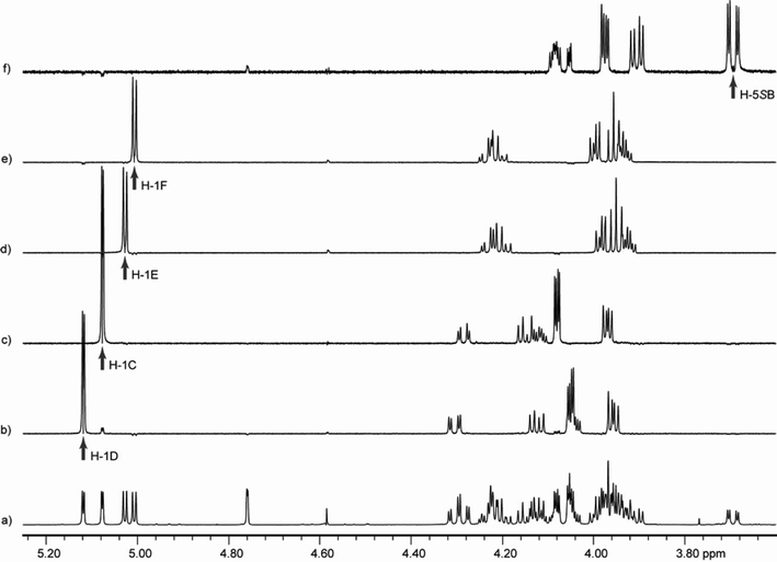 Chemical shift selective filtering TOCSY spectra for 5. The spectra were recorded at 300 K on a 600 MHz spectrometer with 1 : 1 CD3OD–CDCl3 as a solvent. Spectrum a is an expansion of the 1D 1H spectrum; b through f show 1D-ge-CSSF-TOCSY20,21 spectra of each ring with an arrow indicating the irradiation frequency. The mixing time (mix) and frequency difference (Δ) between the irradiated peak and its nearest neighbor that were used to each spectrum are also indicated: b) ring D, selectively irradiated at 5.12 ppm, mix = 0.2 s, Δ = 3.1 Hz; c) ring C, selectively irradiated at 5.08 ppm, mix = 0.2 s, Δ = 11.6 Hz; d) ring E, selectively irradiated at 5.03 ppm, mix = 0.16 s, Δ = 3.3 Hz; e) ring F, selectively irradiated at 5.01 ppm, mix = 0.16 s, Δ = 3.3 Hz; f) ring B, selectively irradiated at 3.69 ppm, mix = 0.12 s, Δ = 1.4 Hz.